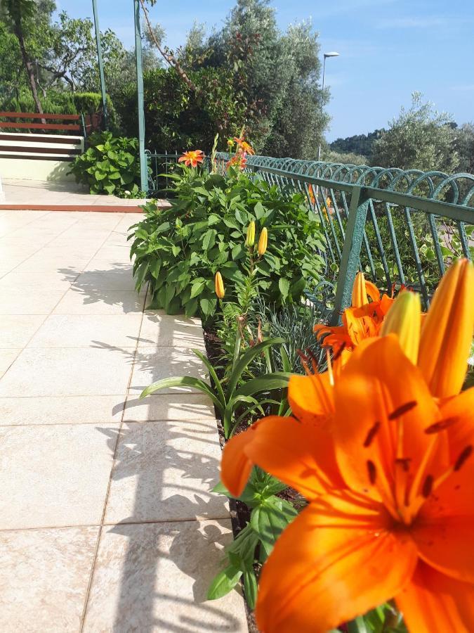 Apartments Simo Petrovac Exterior photo