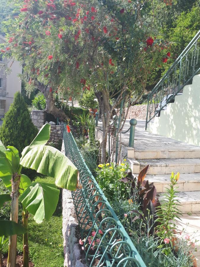 Apartments Simo Petrovac Exterior photo