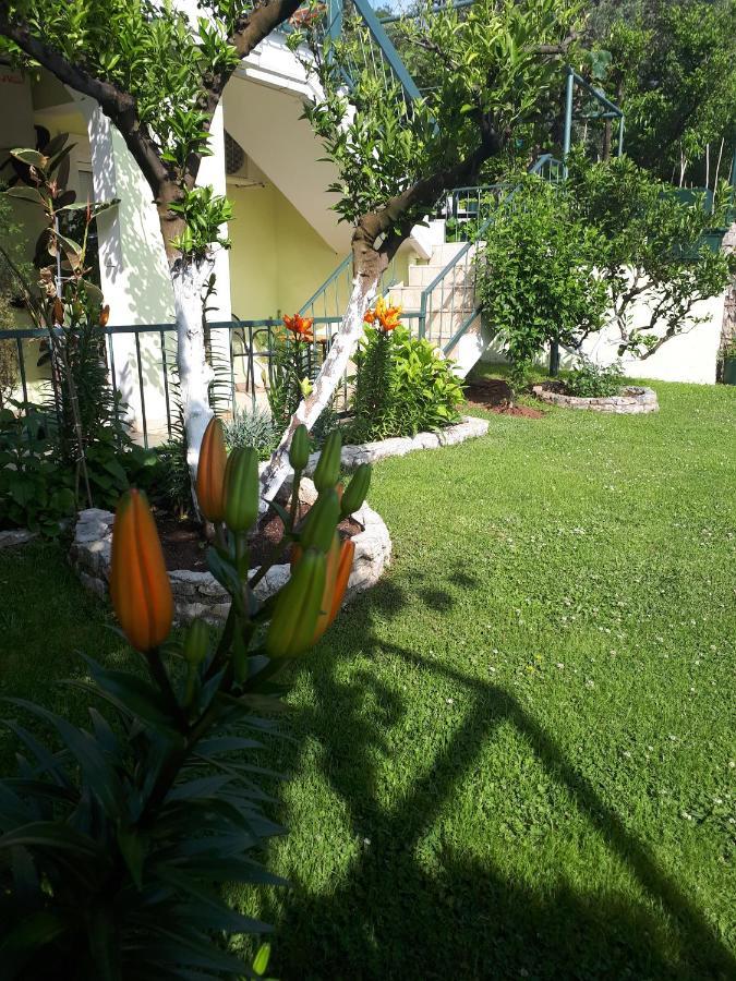 Apartments Simo Petrovac Exterior photo