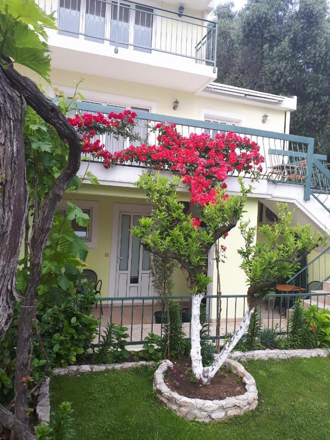 Apartments Simo Petrovac Exterior photo