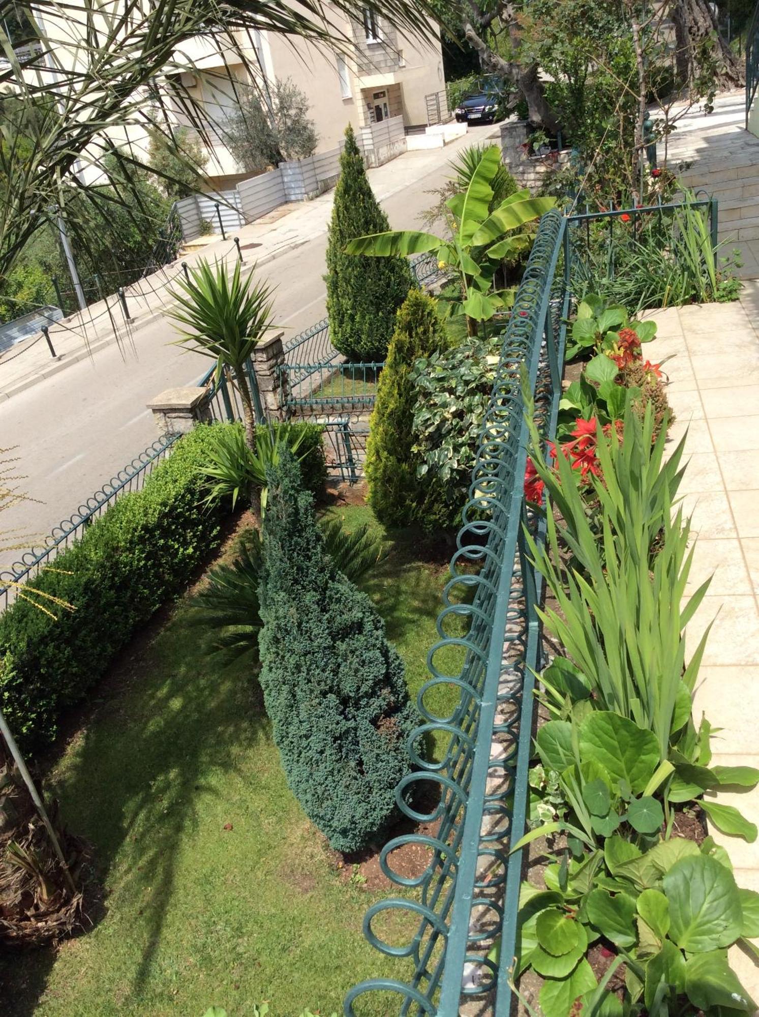 Apartments Simo Petrovac Exterior photo