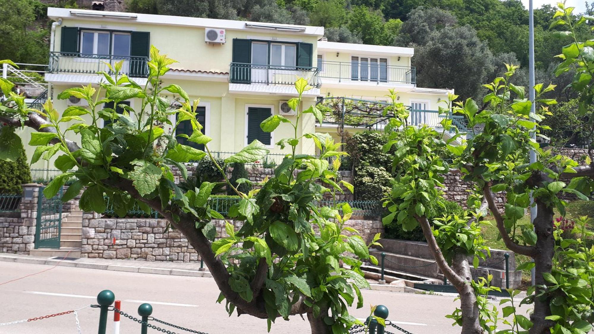 Apartments Simo Petrovac Exterior photo