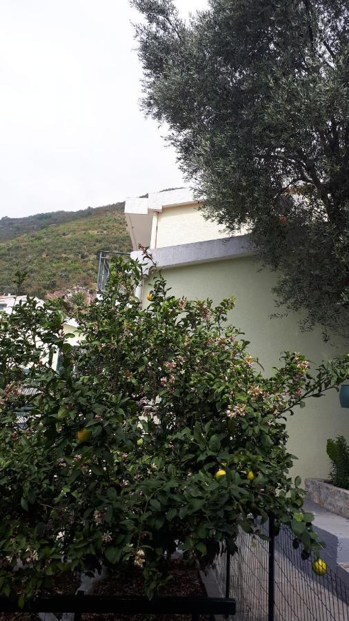 Apartments Simo Petrovac Exterior photo